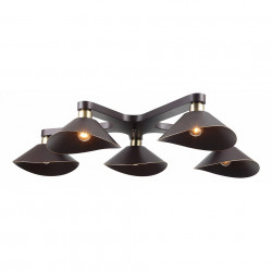 Потолочная люстра Lussole LOFT LSP-9535