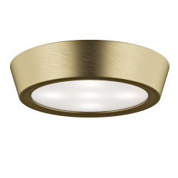 Накладной потолочный светильник Lightstar Urbano 214912