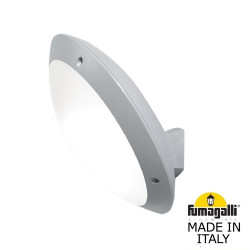 Уличный потолочный накладной светильник Fumagalli Lucia 1R3.602.000.LYE27