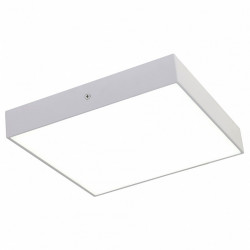 Потолочный светильник Favourite Flashled 2066-30C