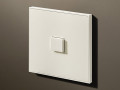Дизайнерские выключатели Lithoss Select