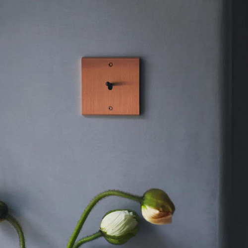 Дизайнерские выключатели Modelec Confidence