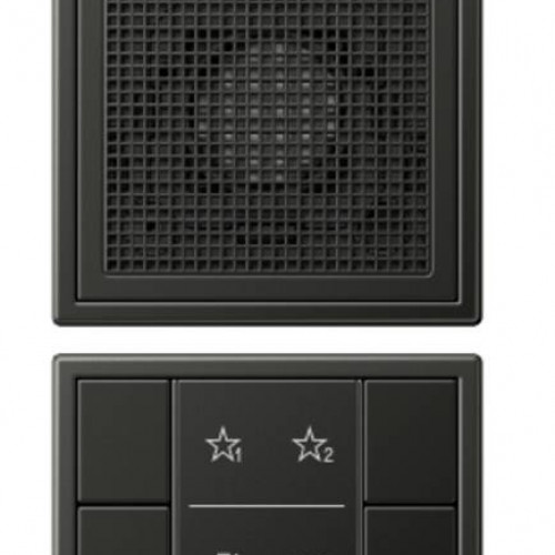 Внутренняя аудио панель