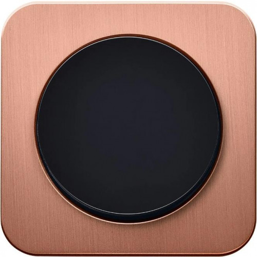 Дизайнерские выключатели BERKER R.1