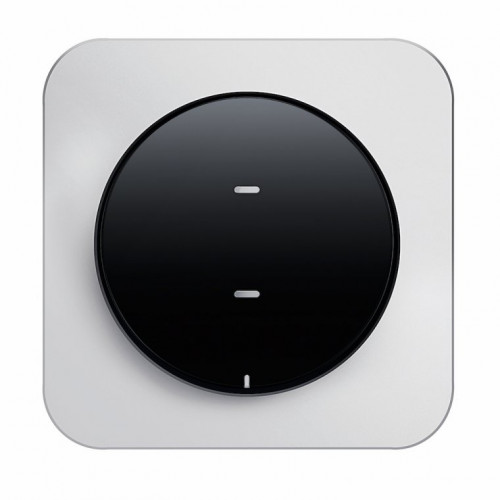 Дизайнерские выключатели BERKER R.1