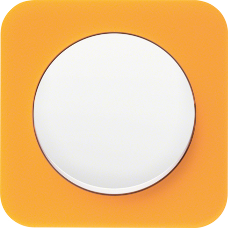 Дизайнерские выключатели BERKER R.1