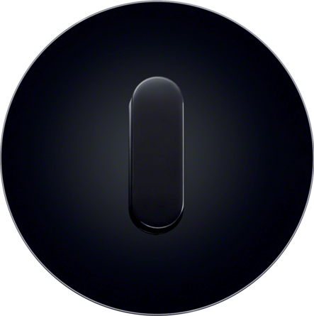 Дизайнерские выключатели BERKER серия R.classic