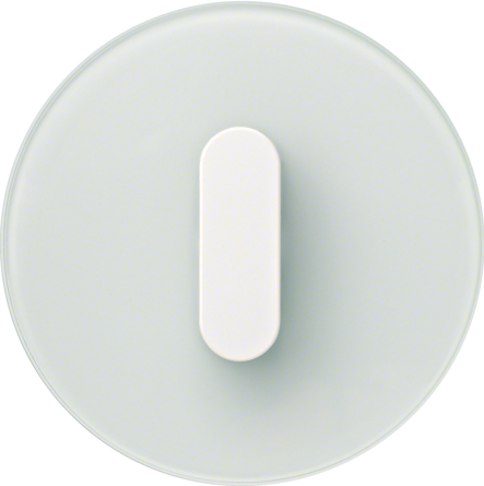 Дизайнерские выключатели BERKER серия R.classic