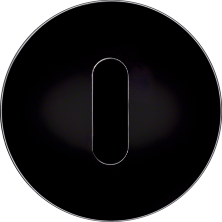 Дизайнерские выключатели BERKER серия R.classic