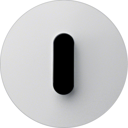 Дизайнерские выключатели BERKER серия R.classic