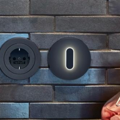 Дизайнерские выключатели BERKER серия R.classic