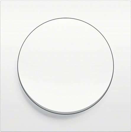 Дизайнерские выключатели BERKER R.3