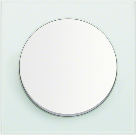 Дизайнерские выключатели BERKER R.3