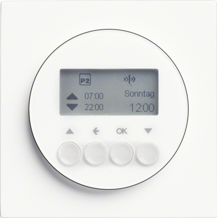 Дизайнерские выключатели BERKER R.3