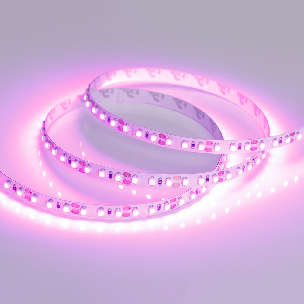 Светодиодная лента Arlight 015897 RT 2-5000 12V Pink 2X (3528, 600 LED, LUX), 5 метров. Фотография №3