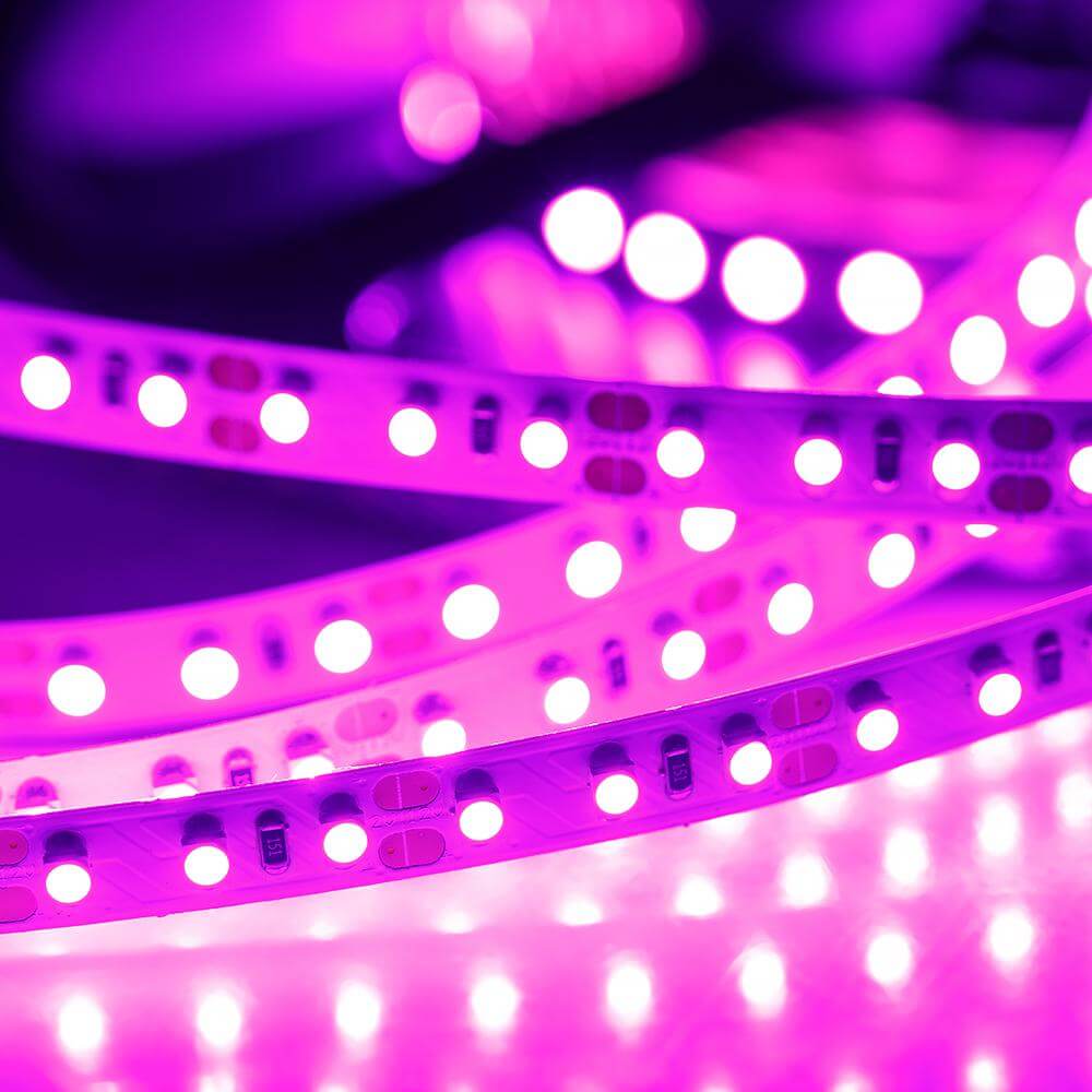 Светодиодная лента Arlight 015897 RT 2-5000 12V Pink 2X (3528, 600 LED, LUX), 5 метров. Фотография №4