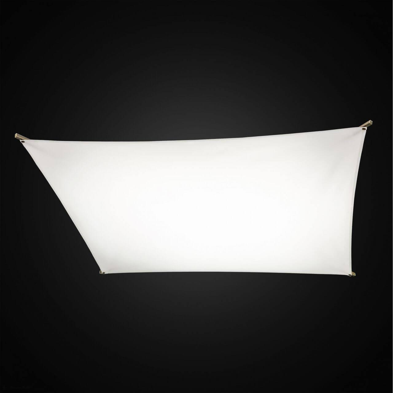 Накладной потолочный светильник Citilux Сити-Арт CL70113R120. Фотография №2